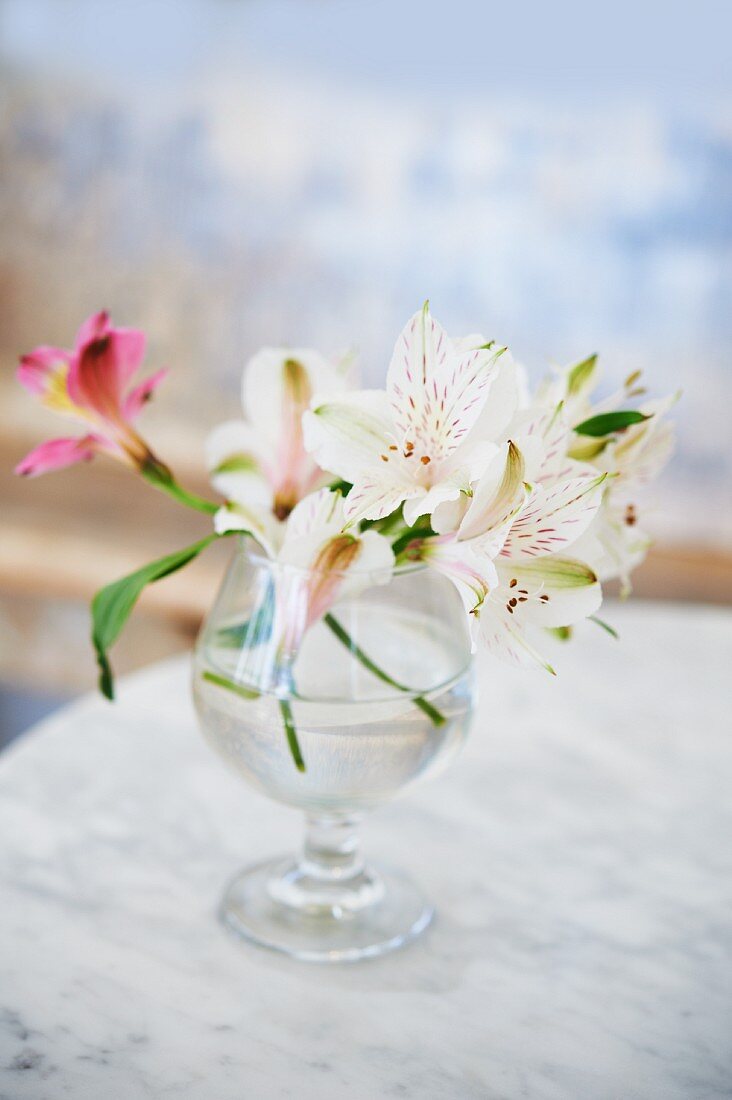 Peruvian Lilies in a Glass Vase on a Marble Table