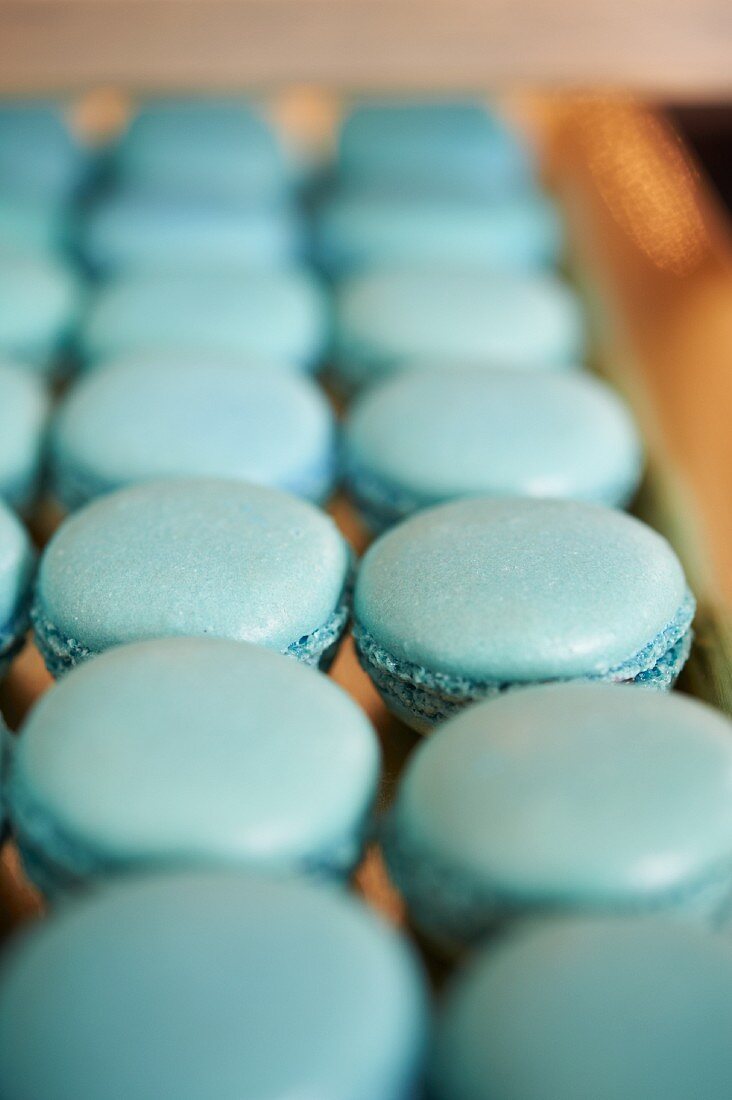 Rows of Blue Macaroons