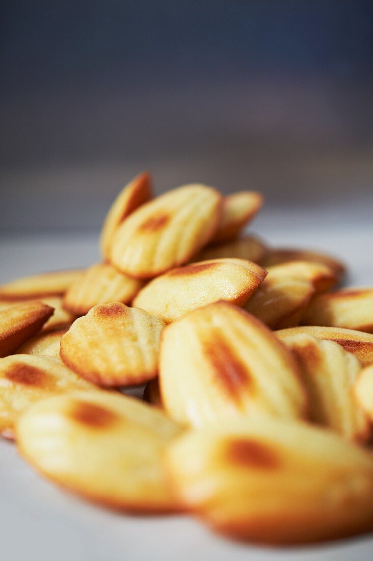 Madeleines