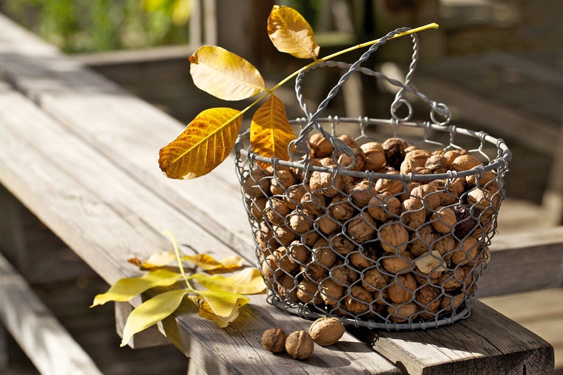 Walnuts in a wire basket