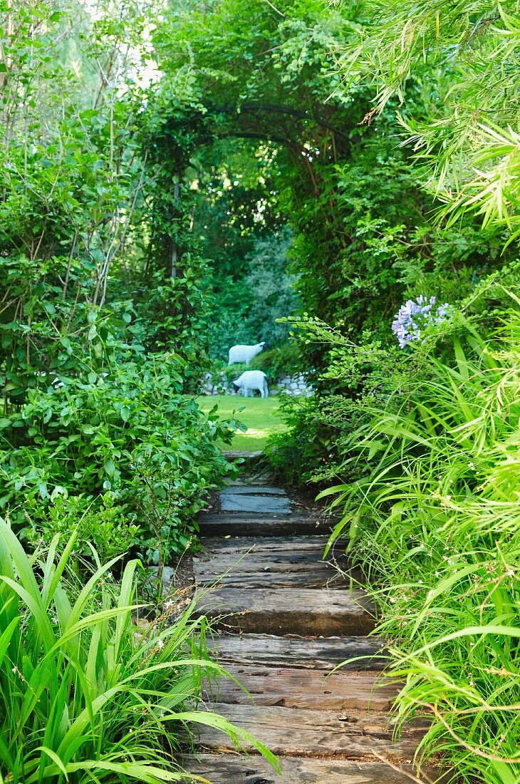 Narrow, paved garden path lined with grasses leading through climber-covered archway