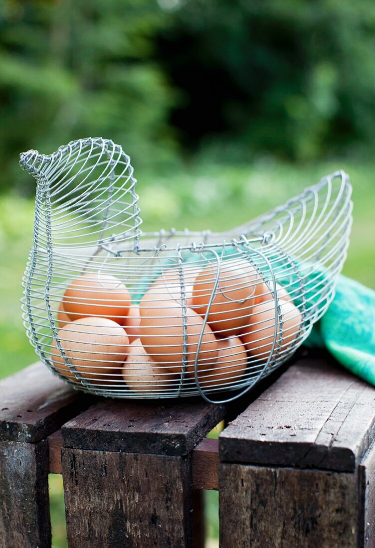 Frische Eier in einem Drahtkorb