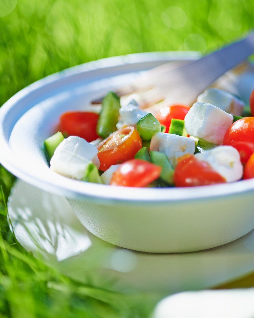 Gurken-Tomaten-Salat mit Feta