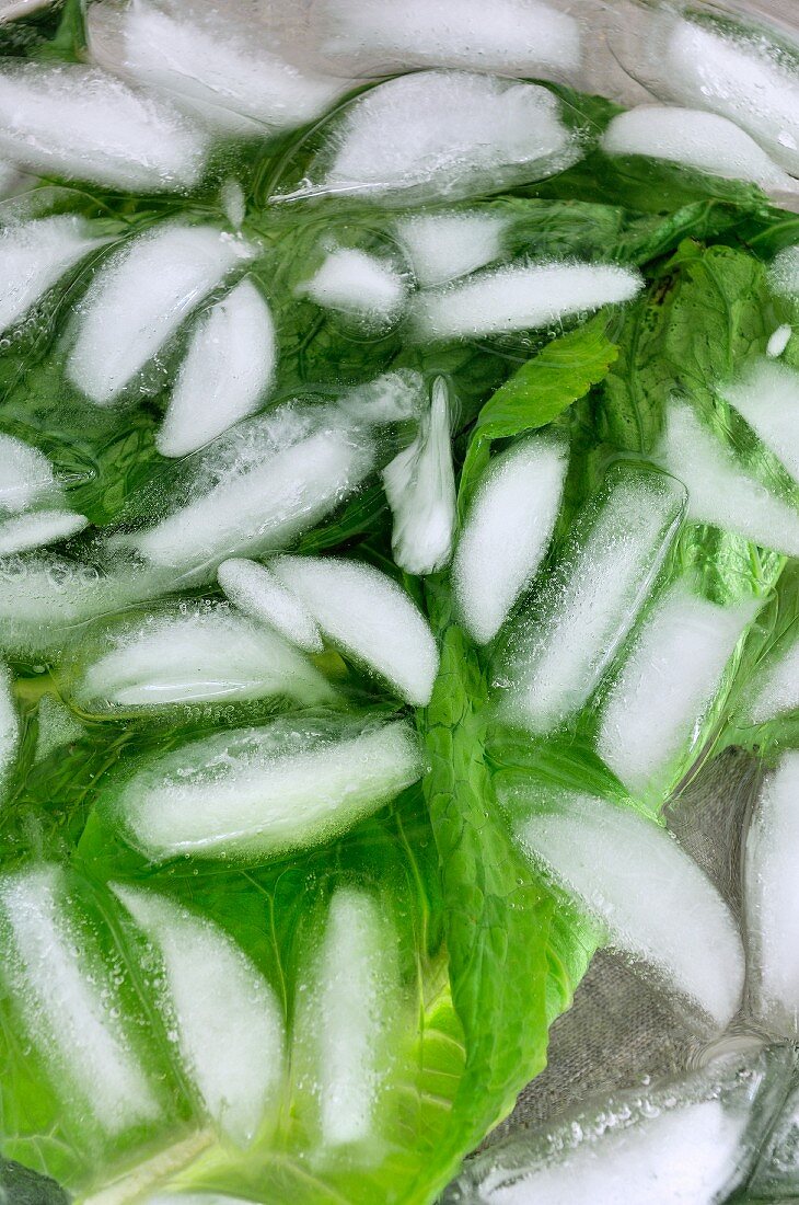 Salatblätter im Eiswasser
