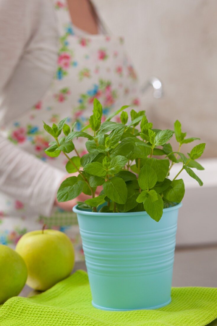 Fresh mint in a flowerpot and a green apple, with a woman in the background