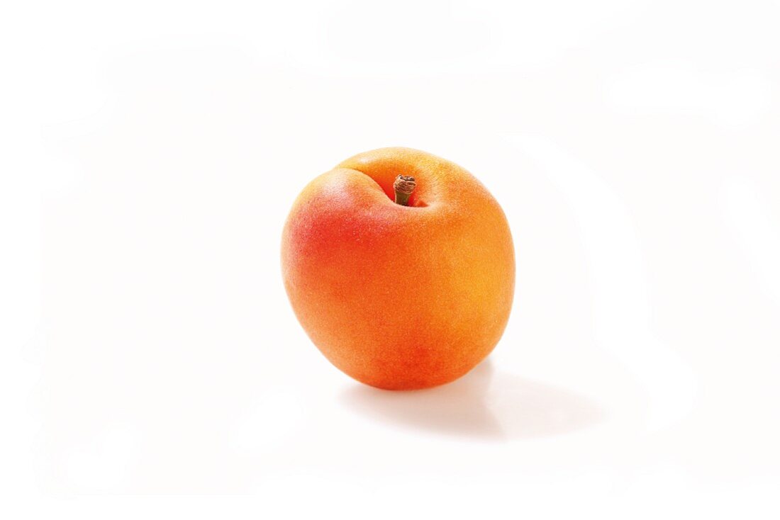 An apricot against a white background