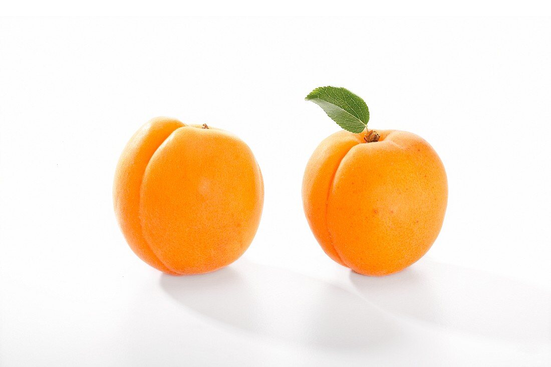 Zwei Aprikosen vor weißem Hintergrund