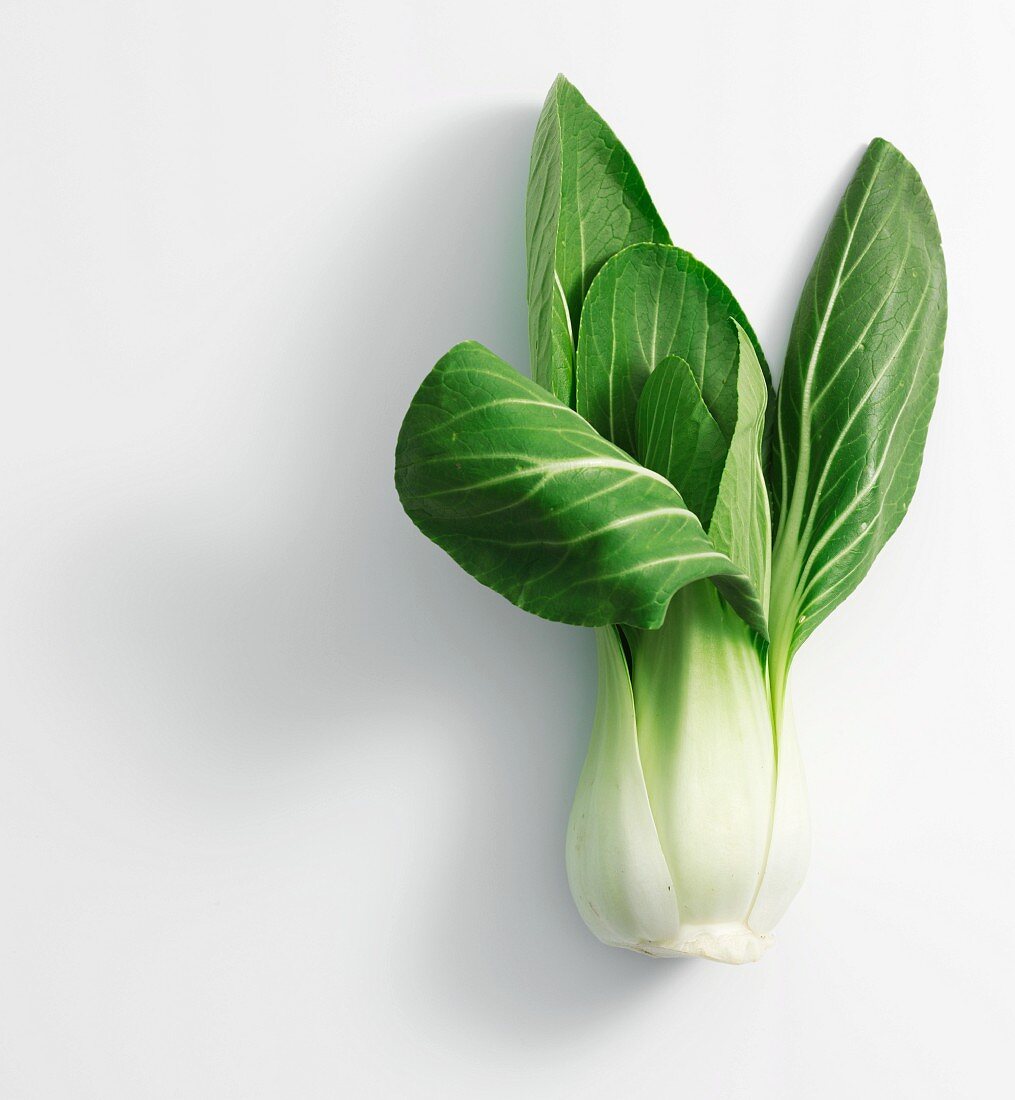 Pak Choi