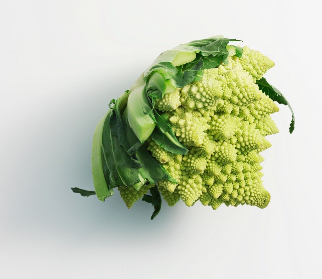 Liegender Romanesco