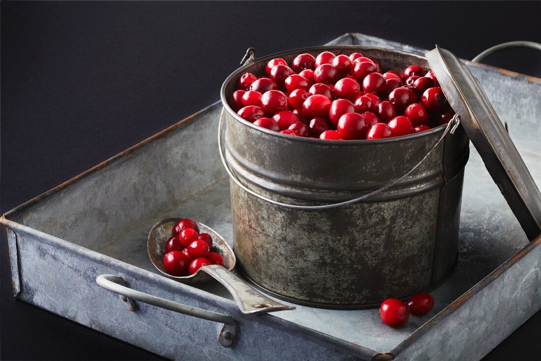 Cranberries in a tin bucket