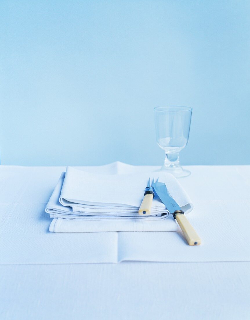 Napkins and a place setting in blue
