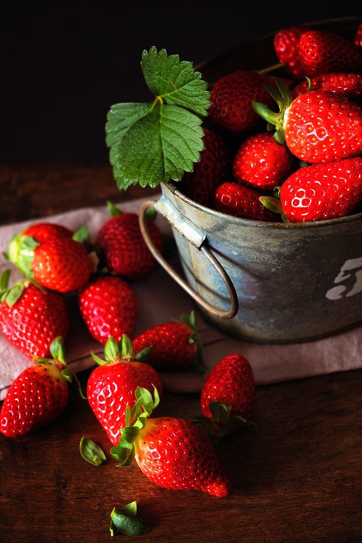 Fresh strawberries in and next to a bucket
