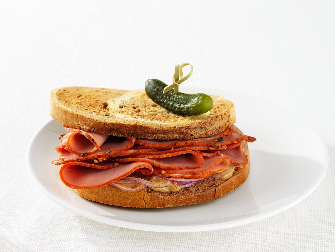 A pastrami sandwich with pickled gherkin