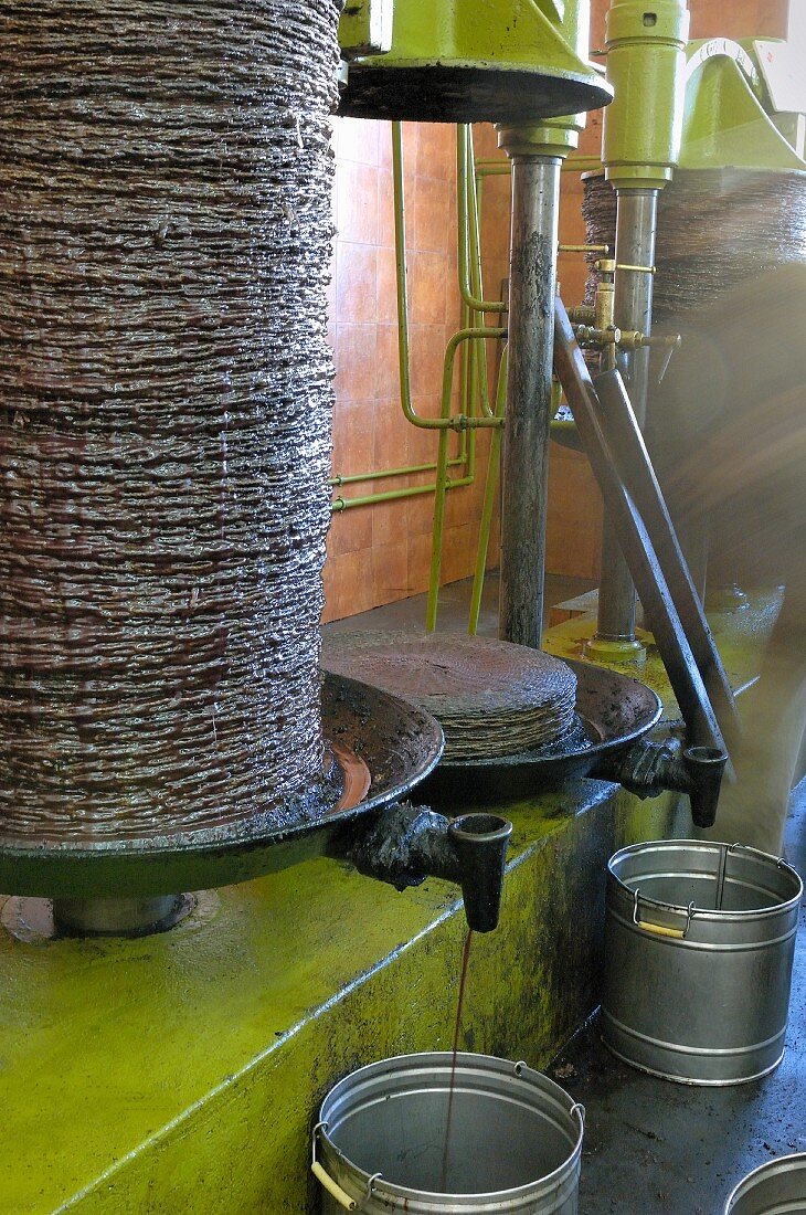 Olive oil being pressed out of baskets of crushed olives (Tunisia)