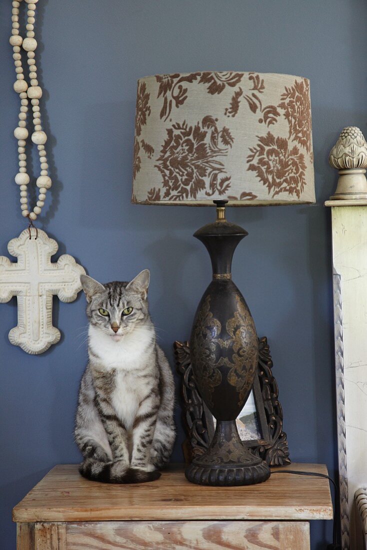 Cat sitting next to table lamp with patterned lampshade on bedside table against blue-painted wall