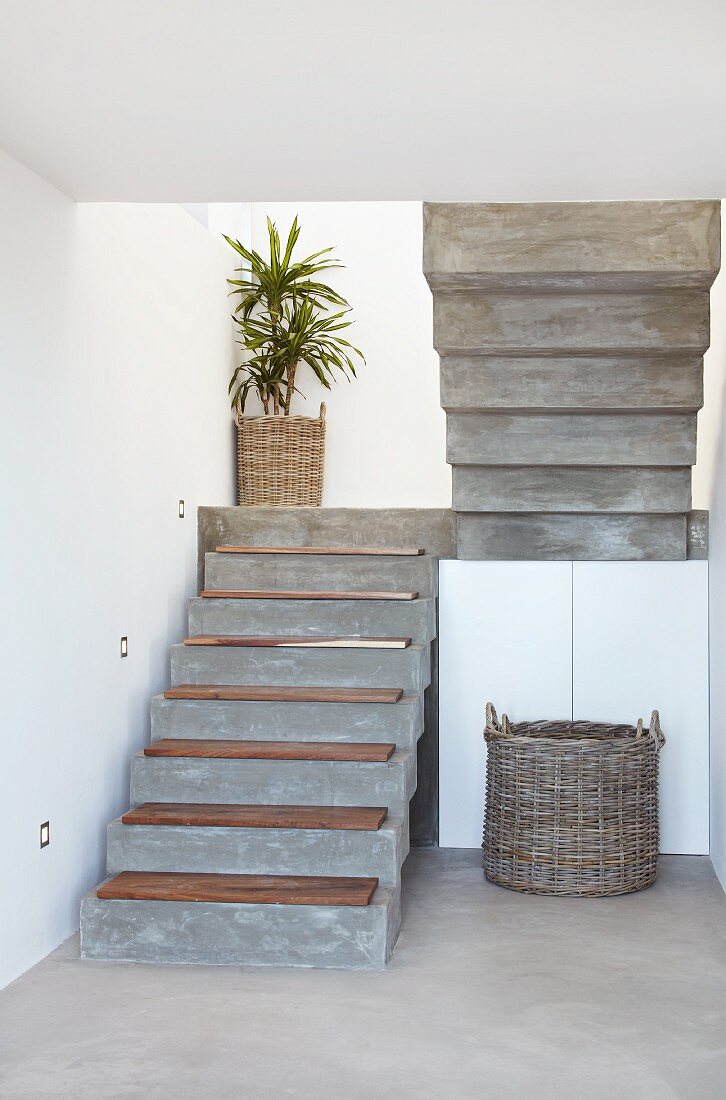 Concrete staircase with wooden treads and potted palm on landing