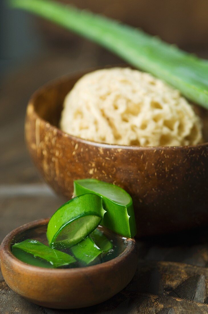 Aloe vera shoots and a sponge luffa