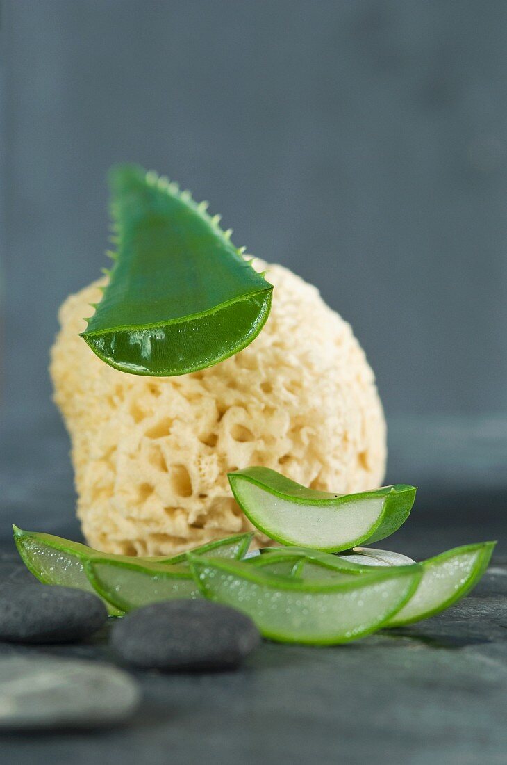 A sliced aloe vera leaf with a sponge luffa and pebbles