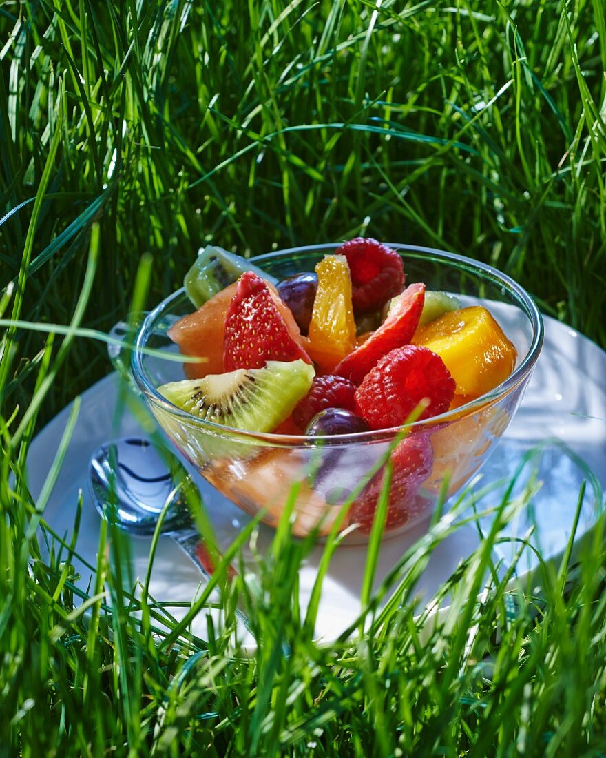 Fruit salad in a glass bowl in the grass