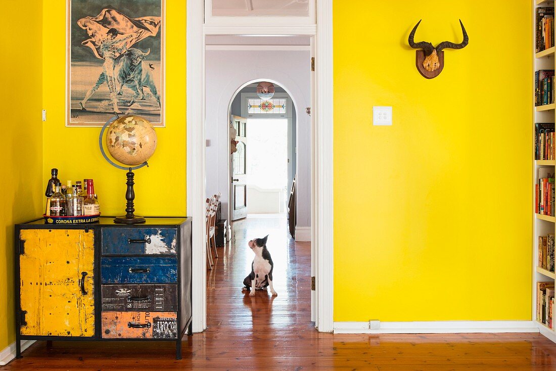 Picture of bullfight above colourful vintage cabinet and antlers on yellow-painted wall; dog on parquet floor in adjoining room