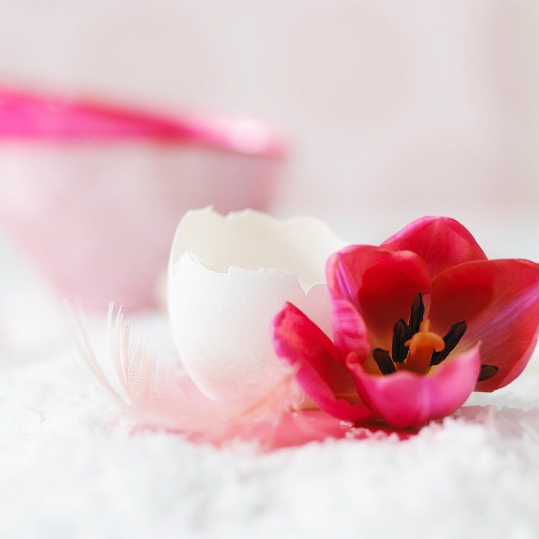 Easter arrangement of pink tulip, egg shell and feather