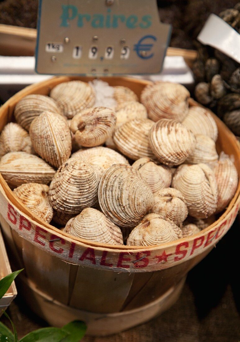 Venusmuscheln im Korb auf dem Markt