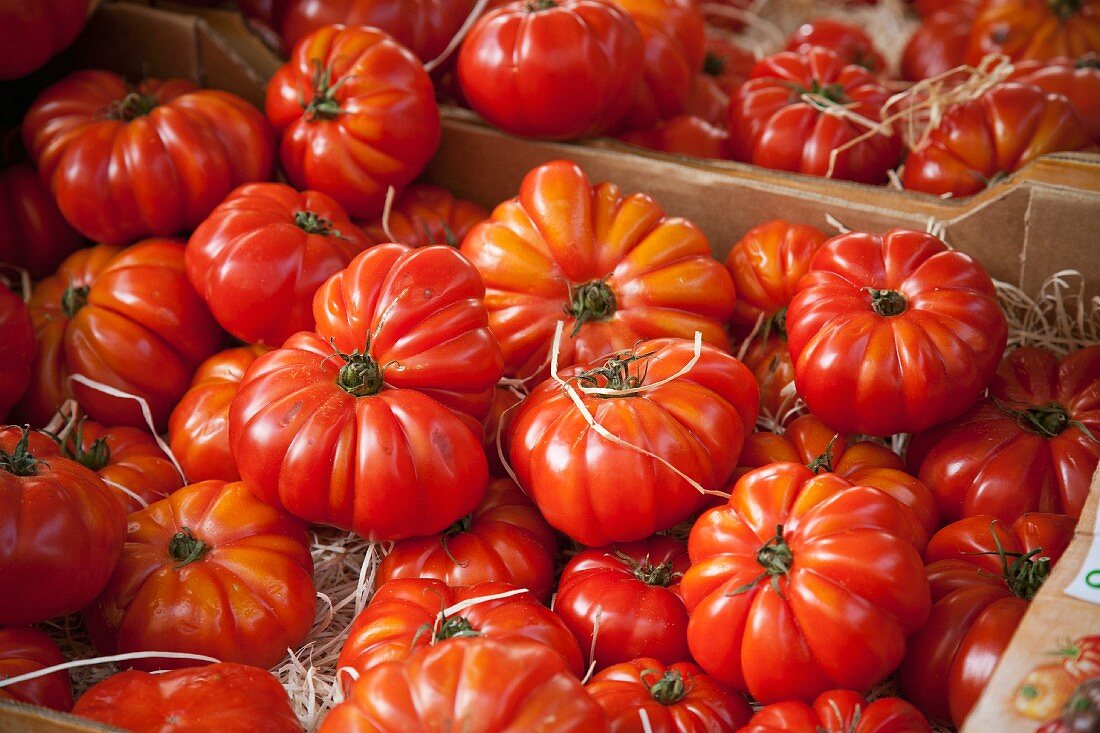 Beef tomatoes in boxes