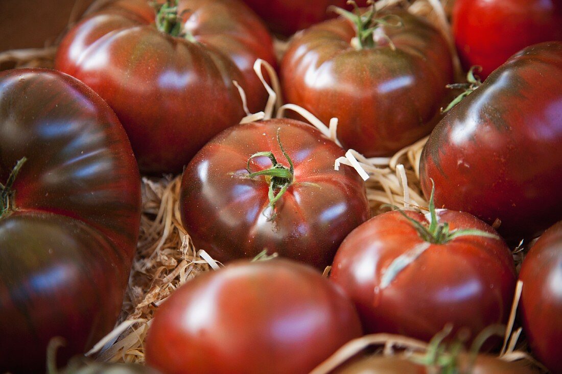 Schwarze Kirschtomaten