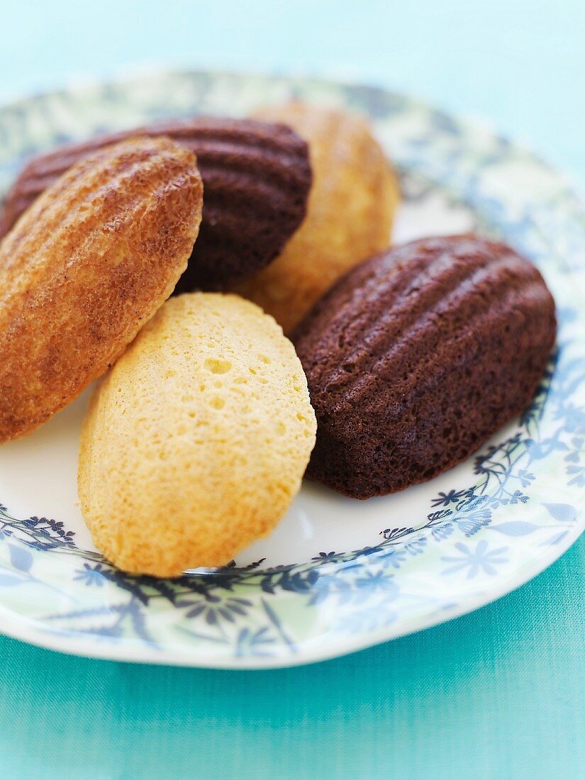 Vanille- und Schoko-Madeleines