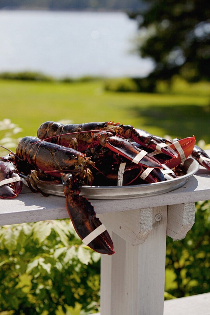 Fresh Lobsters on a Platter Outdoors