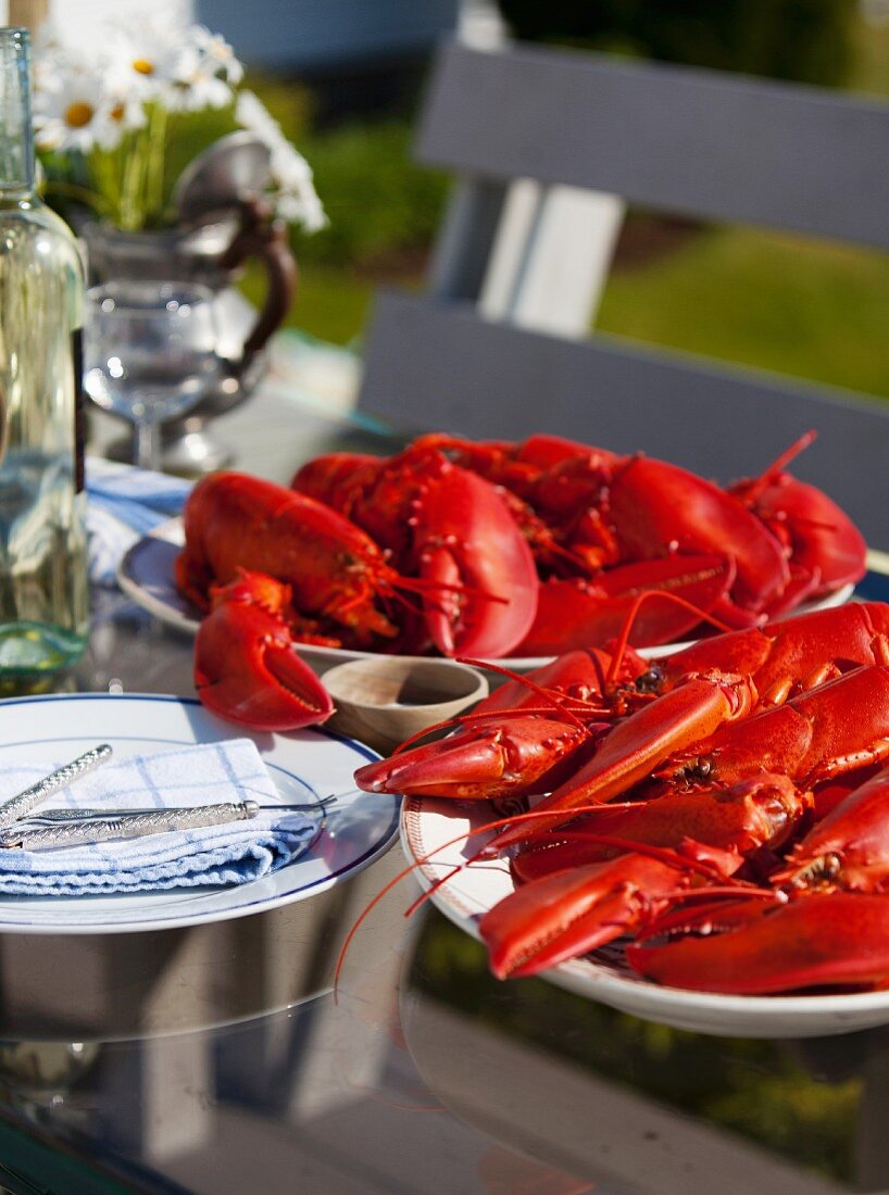 Platters of Fresh Cooked Lobsters on an Outdoor Table