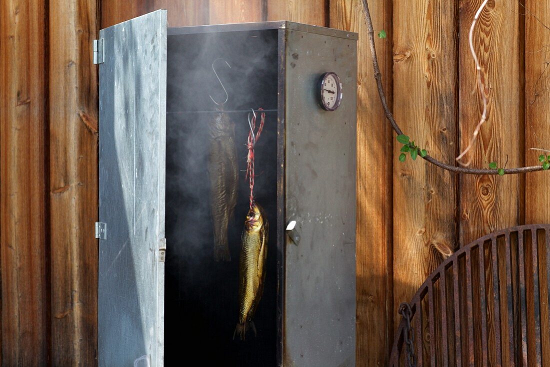 Trout and char in cabinet smoker