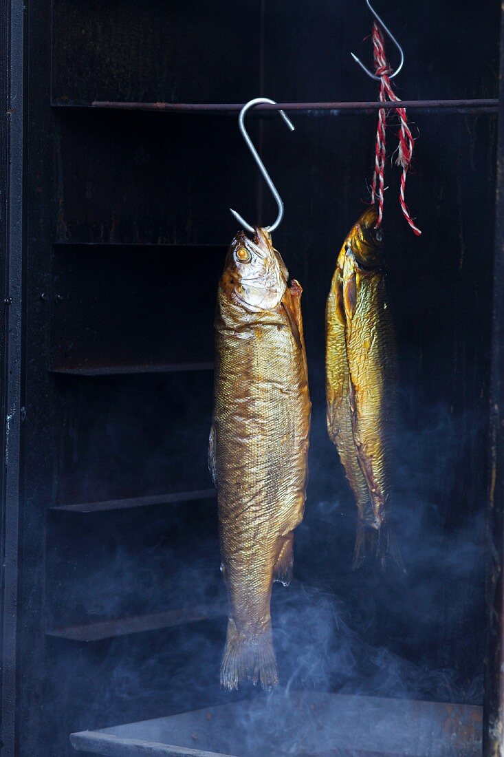 Trout and char in a smoking oven