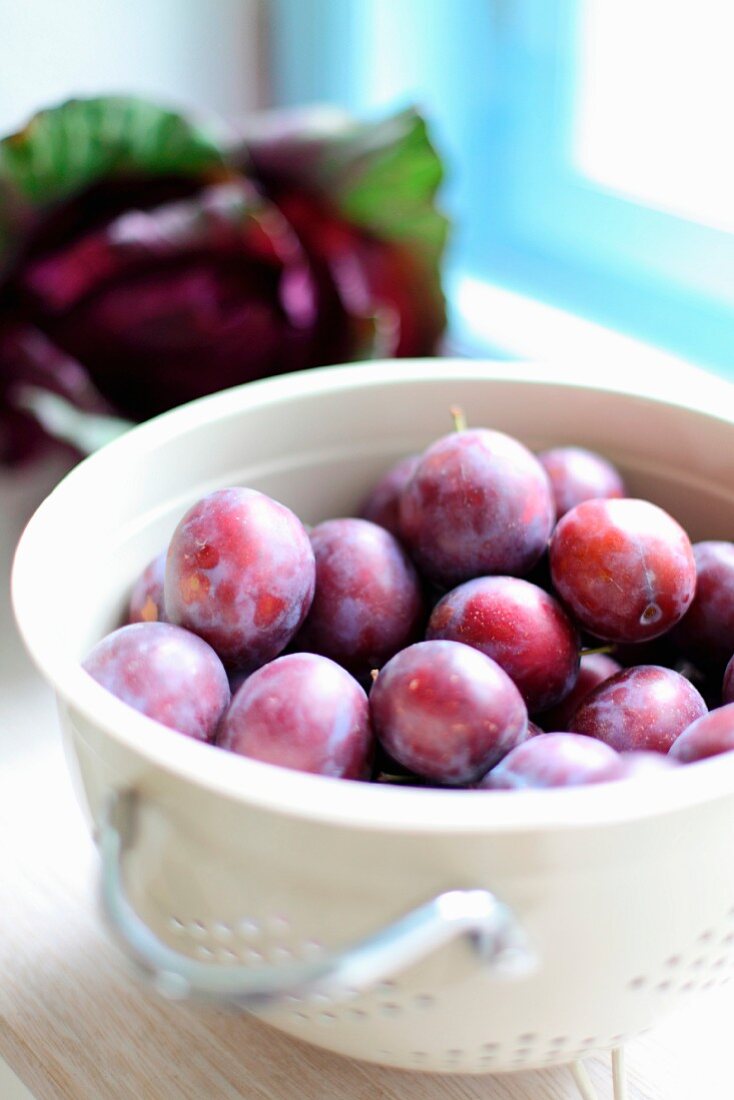 Freshly picked plums in a colander