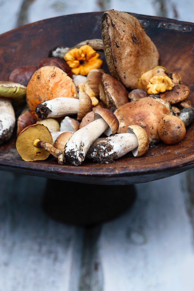 Mixed wild mushrooms in a wooden bowl