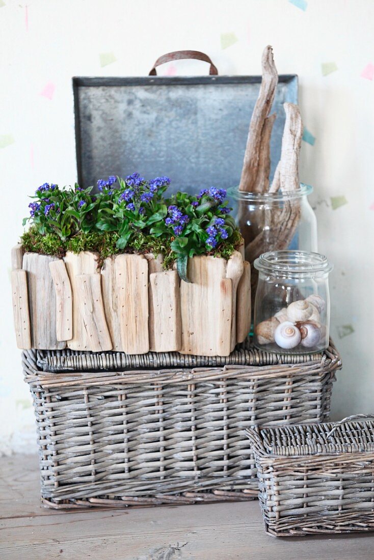 Natural finds in preserving jars and forget-me-nots in window box made from driftwood on weathered wicker basket