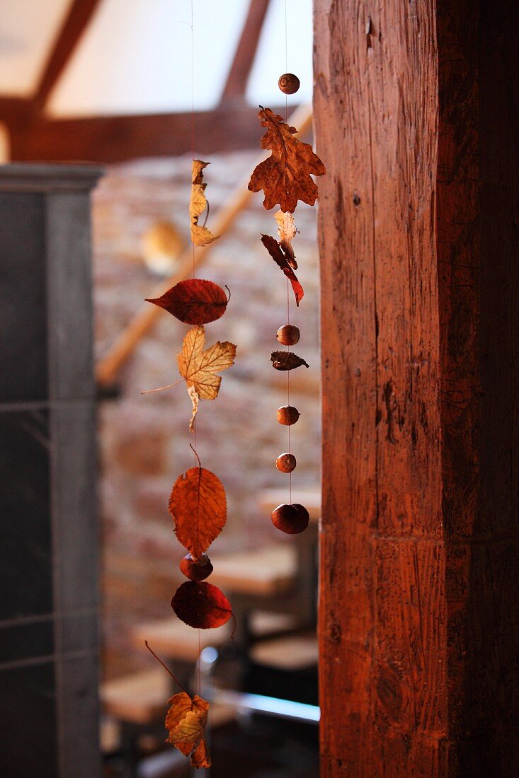 Autumn leaves and nuts threaded on cords next to wooden pillar in hallway