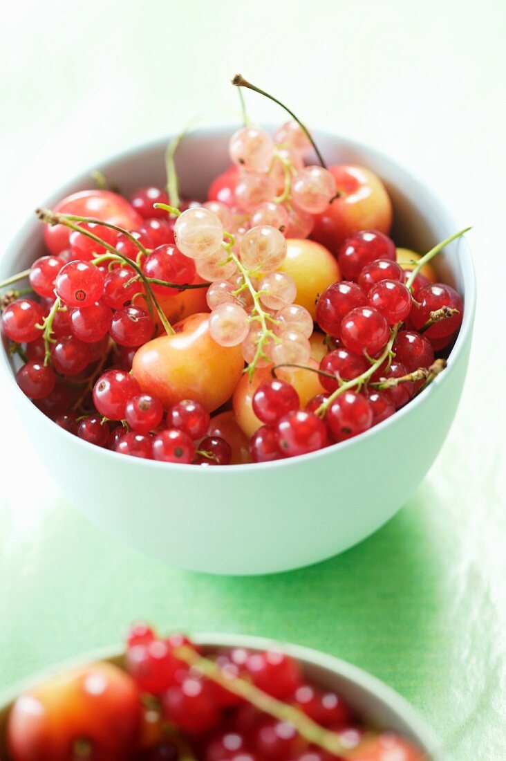 Red and White Currants in a Bowl with Cherries