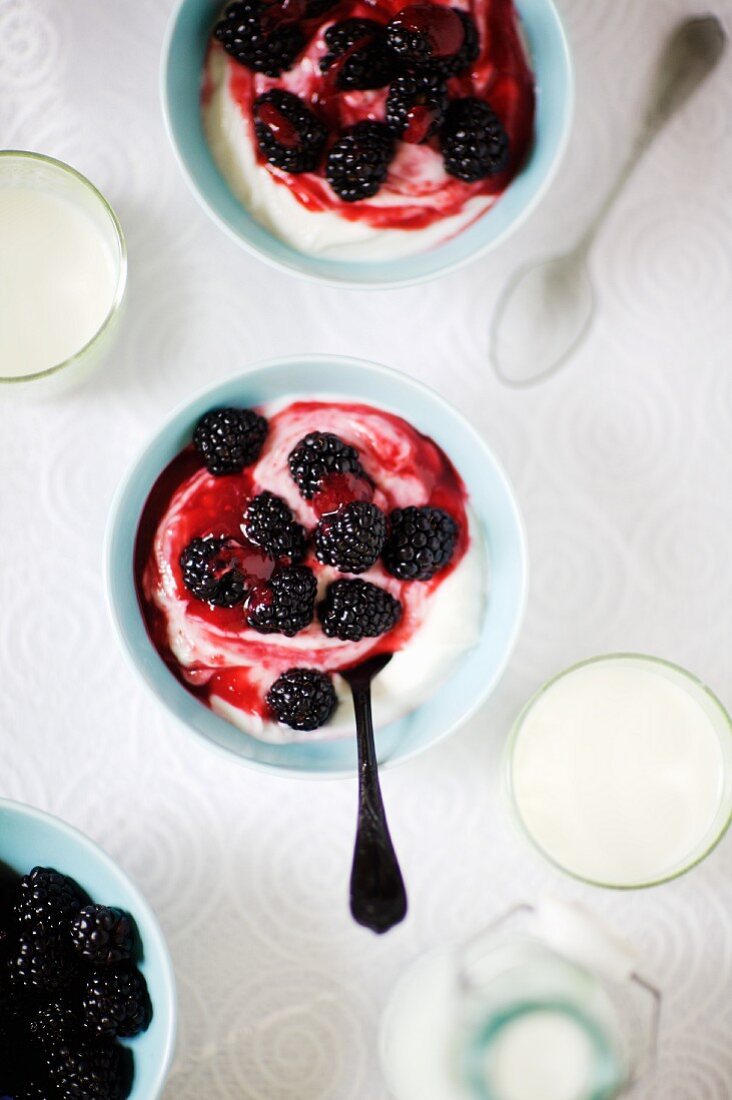 Bowls of Yogurt Topped with Blackberries