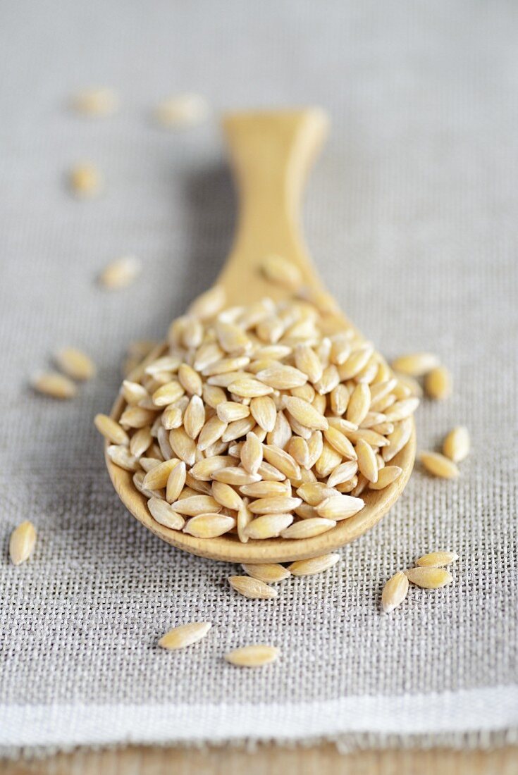 Einkorn auf Holzlöffel