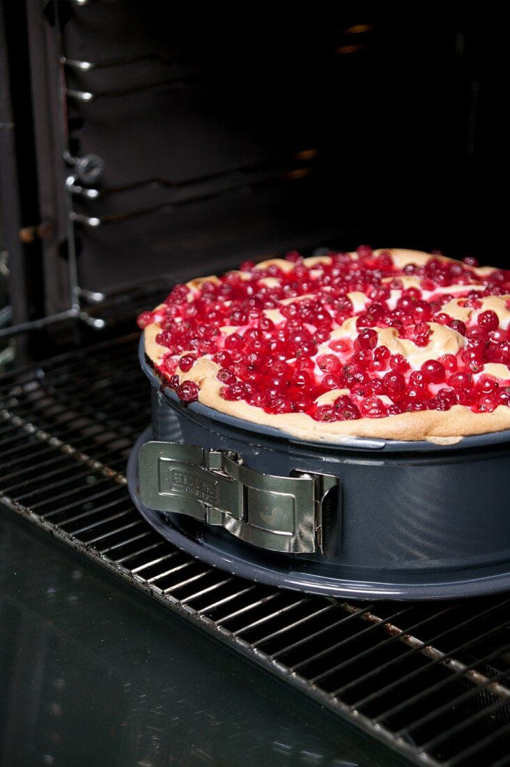 Redcurrant cake in a spring-form cake tin