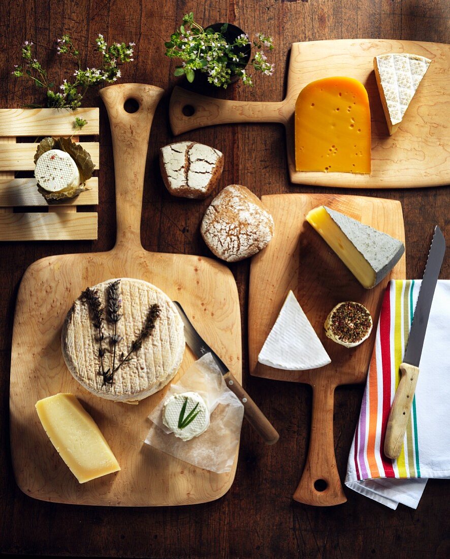 Assorted types of cheese on wooden boards