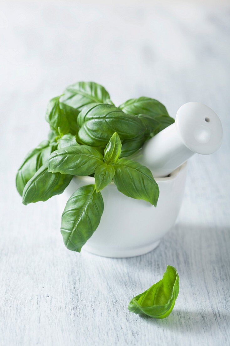 Fresh basil in a mortar with a pestle