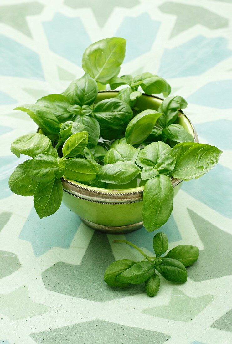 Fresh basil in a bowl on a patterned surface