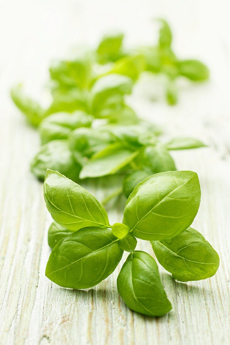 Fresh basil on a wooden surface