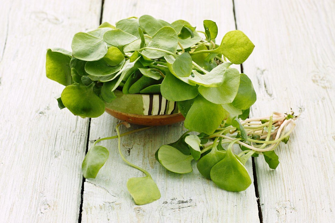 Purslane in a bowl on a wooden surface