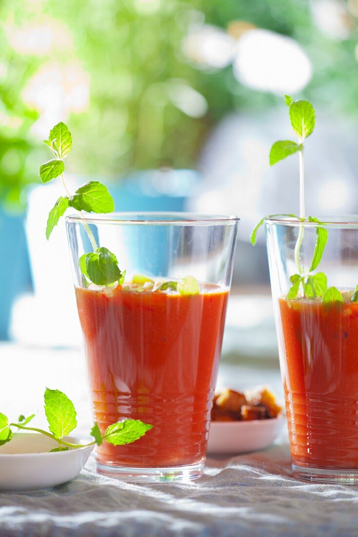 Gazpacho (cold tomato soup, Spain) in two glasses