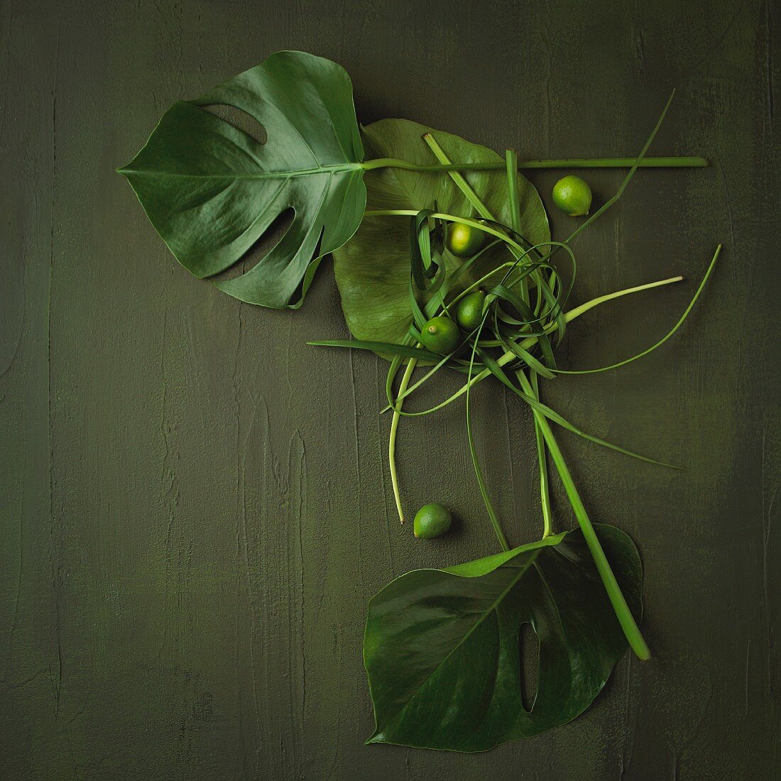 An arrangement of exotic leaves with limes