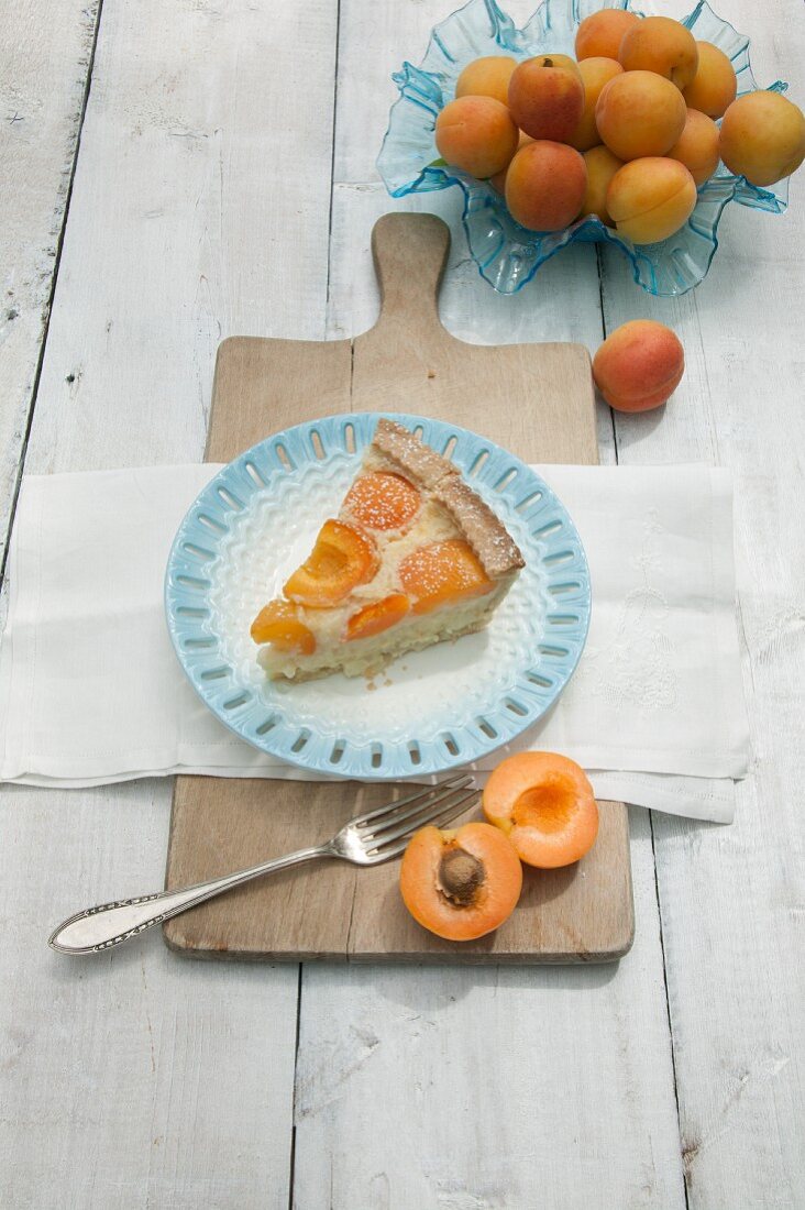 A slice of apricot rice pudding tart