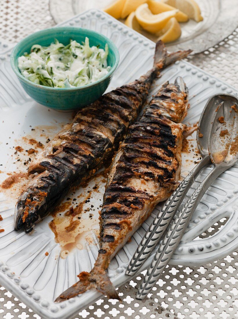 Gegrillte würzige Makrelen mit Gurkenraita